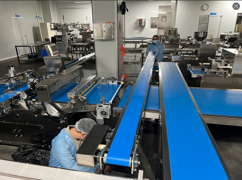 模块化食品级不锈钢皮带输送机