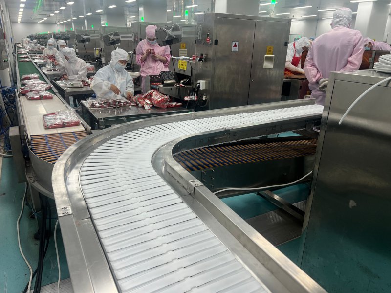 智能柔性理料输送机