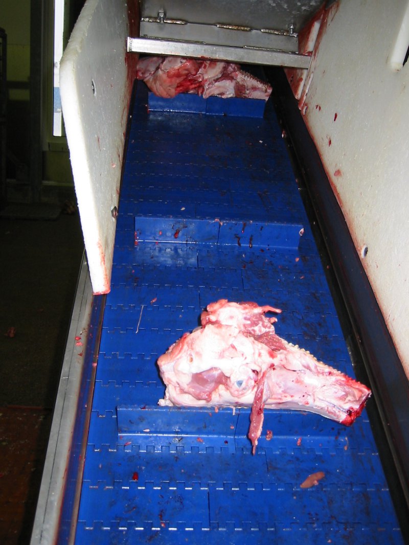 多功能垂直爬坡输送机