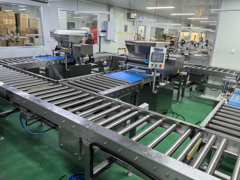 动力式多楔带驱动辊筒输送机