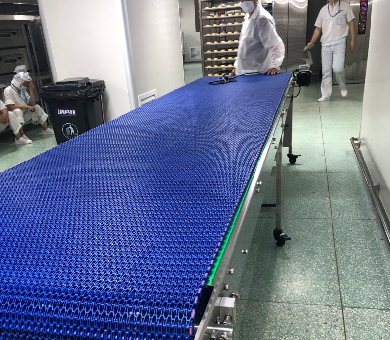 卫生级平网/开格型输送机